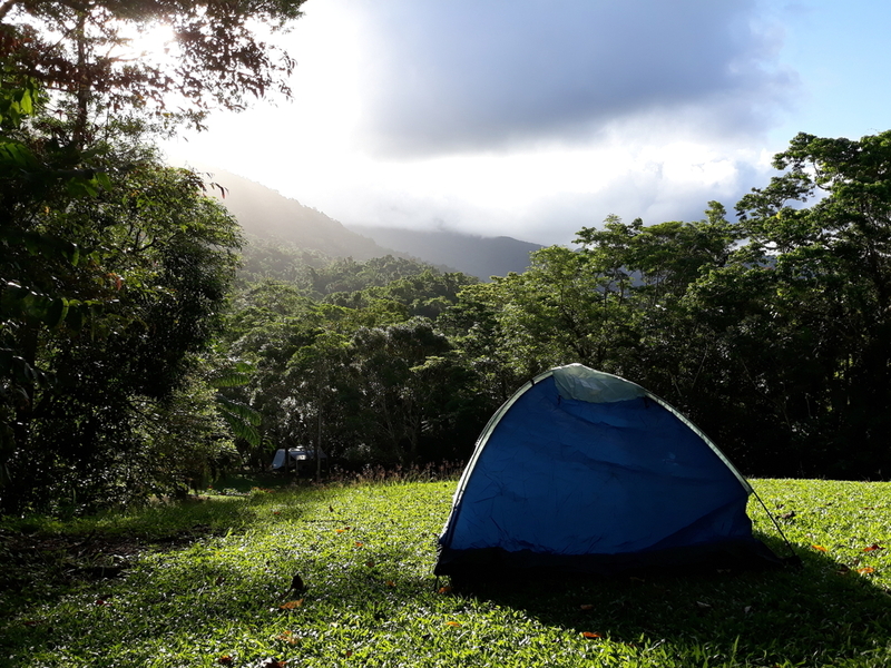 Daintree Rainforest Village Destination Daintree